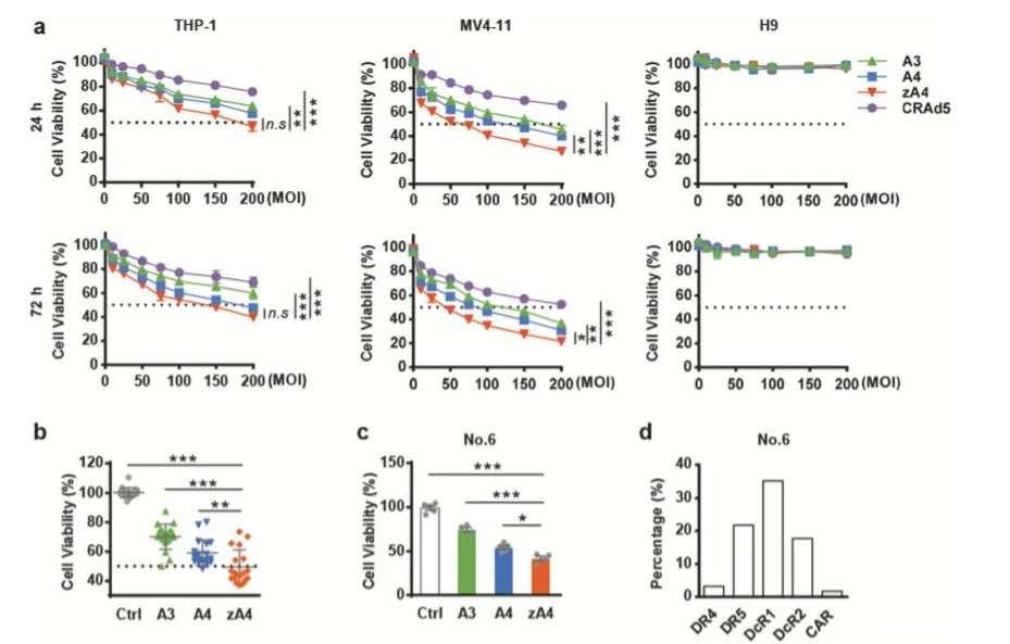 27230412139543.jpg 5.jpg