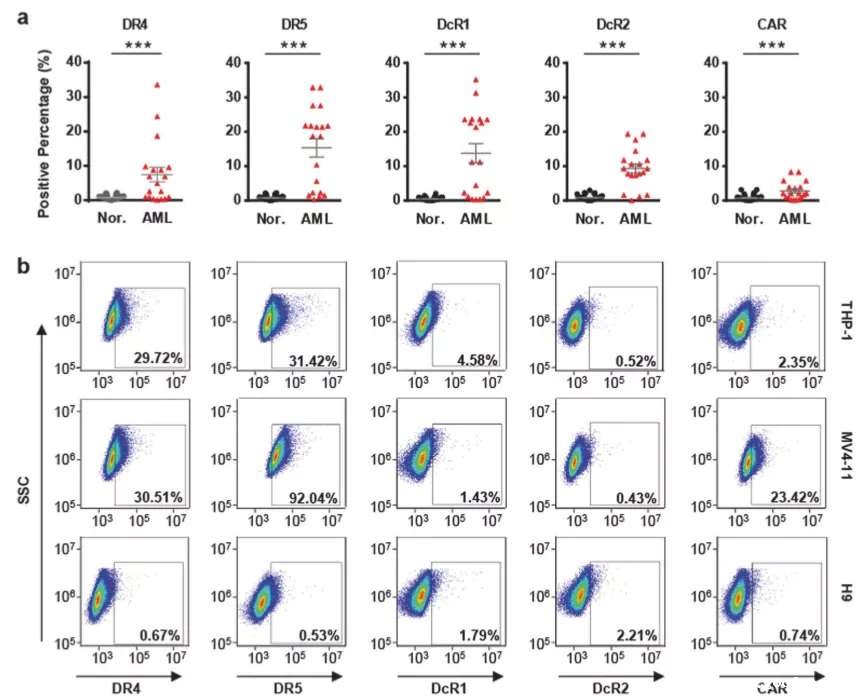 27230207151216.jpg 2.jpg