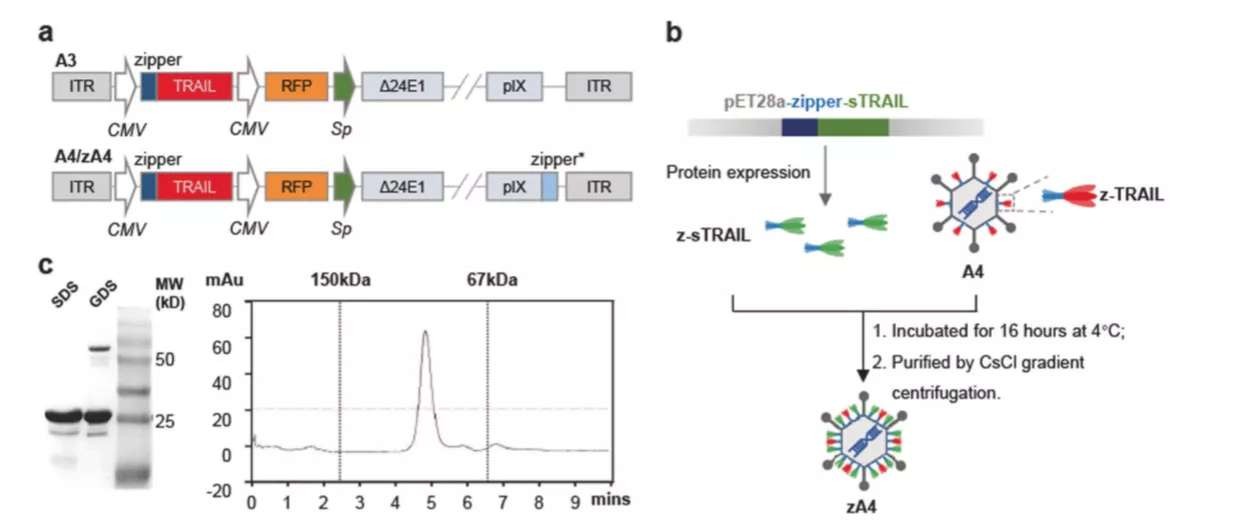 27230248978394.jpg 3.jpg